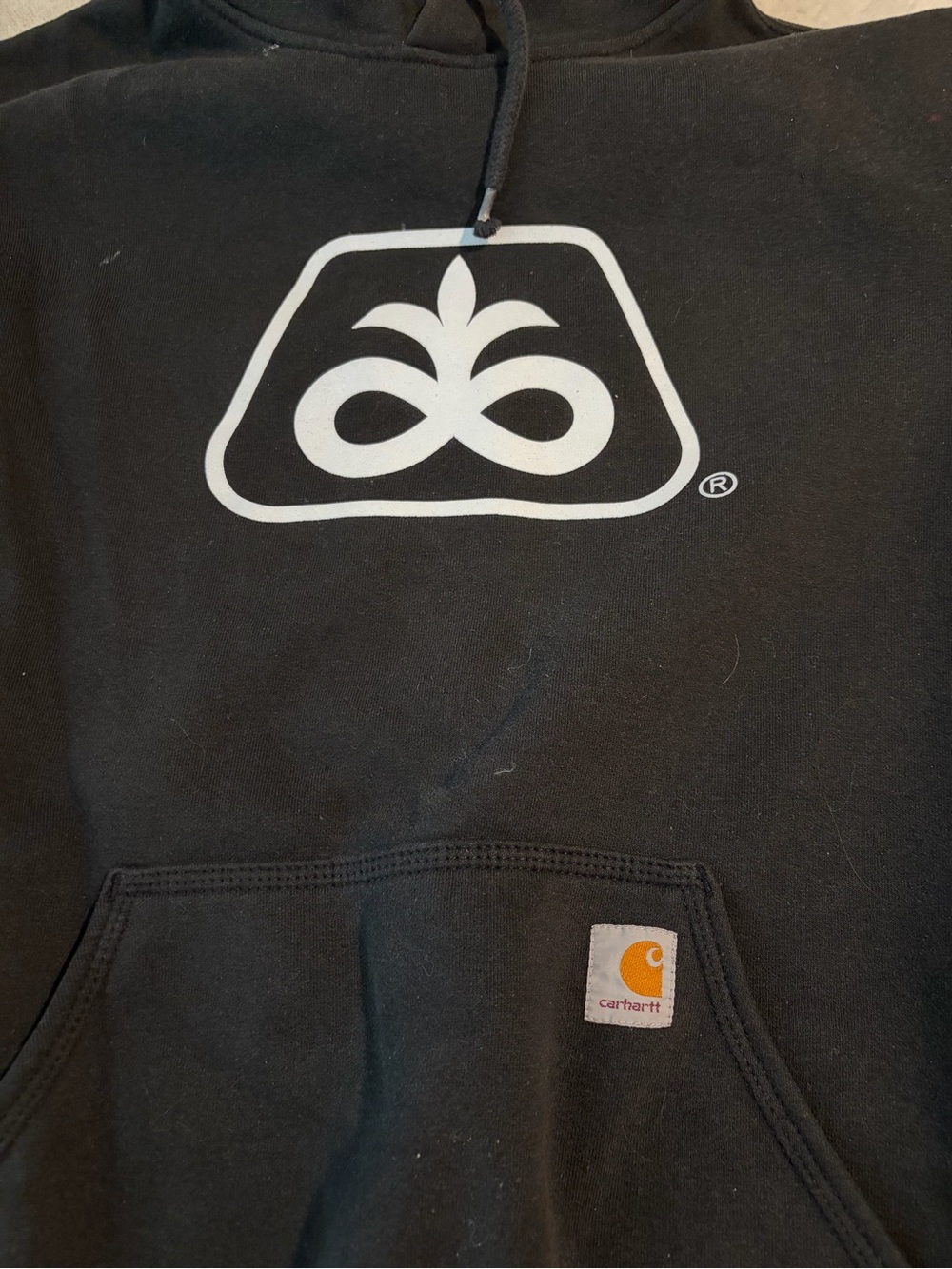 Carhartt Black Hoodie with White Enlist E3 Soybeans Sleeve Logo - Picture 2 of 6